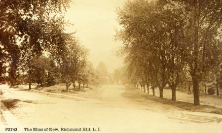 The 'Elms of Kew' along Maple Grove Boulevard.