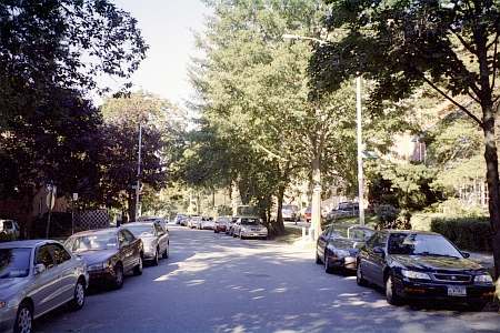 84th Avenue looking west past 120th Street in Kew Gardens, NY.