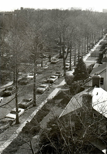 View from 41 Kew Gardens Road (late 1960's).