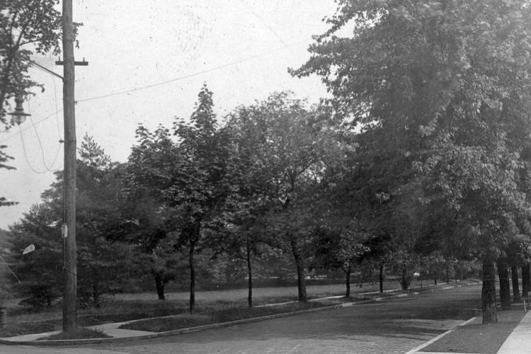 118th Street looking south from Metropolitan Avenue c. 1920.