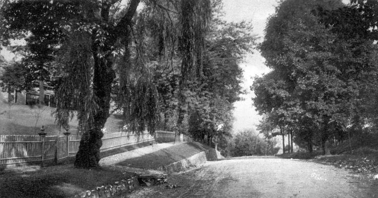 The Williamsburgh & Jamaica Turnpike - today's Metropolitan Avenue in Kew Gardens, NY.