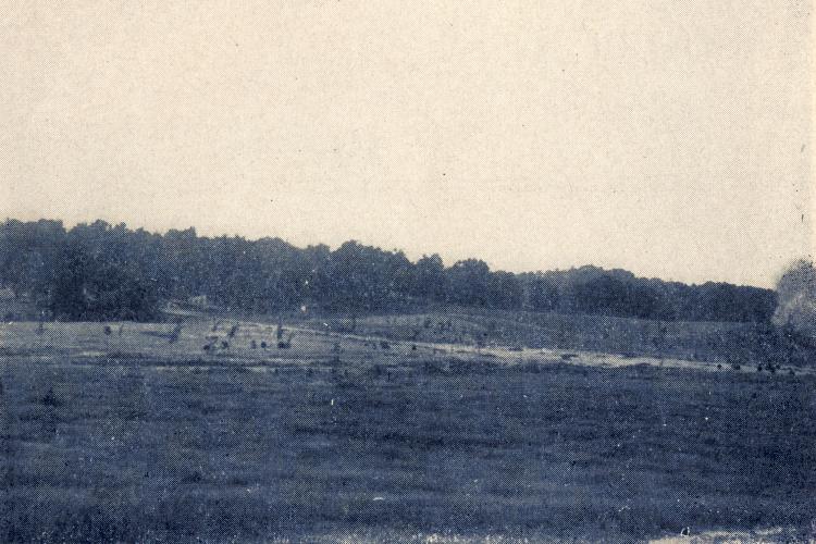 The future site of Kew Gardens, NY north of Metropolitan Avenue, c. 1908