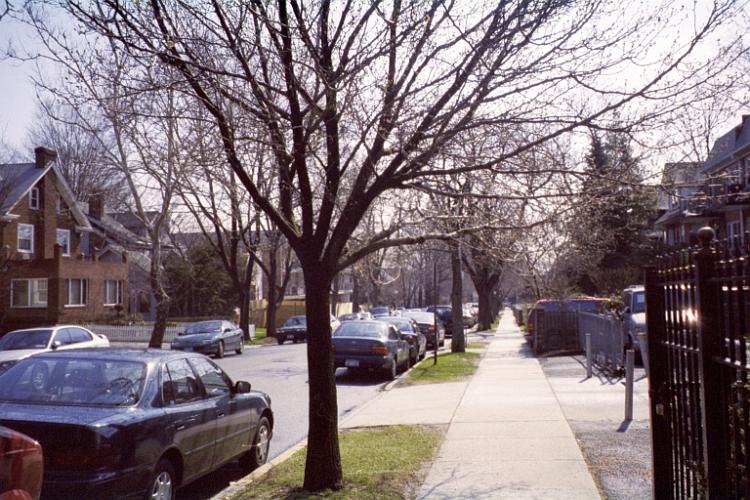 Abingdon Road east of Lefferts Boulevard, Kew Gardens, NY