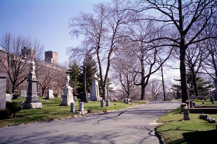 The Prospect section of Maple Grove Cemetery in Kew Gardens, NY just past the Administrative Office.